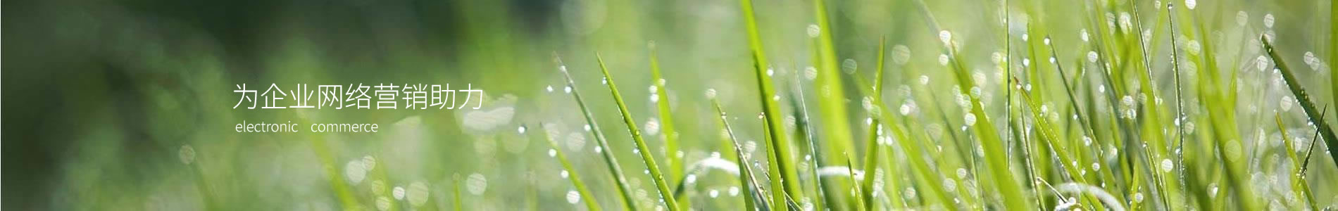 ݸмŲӡ޹˾
